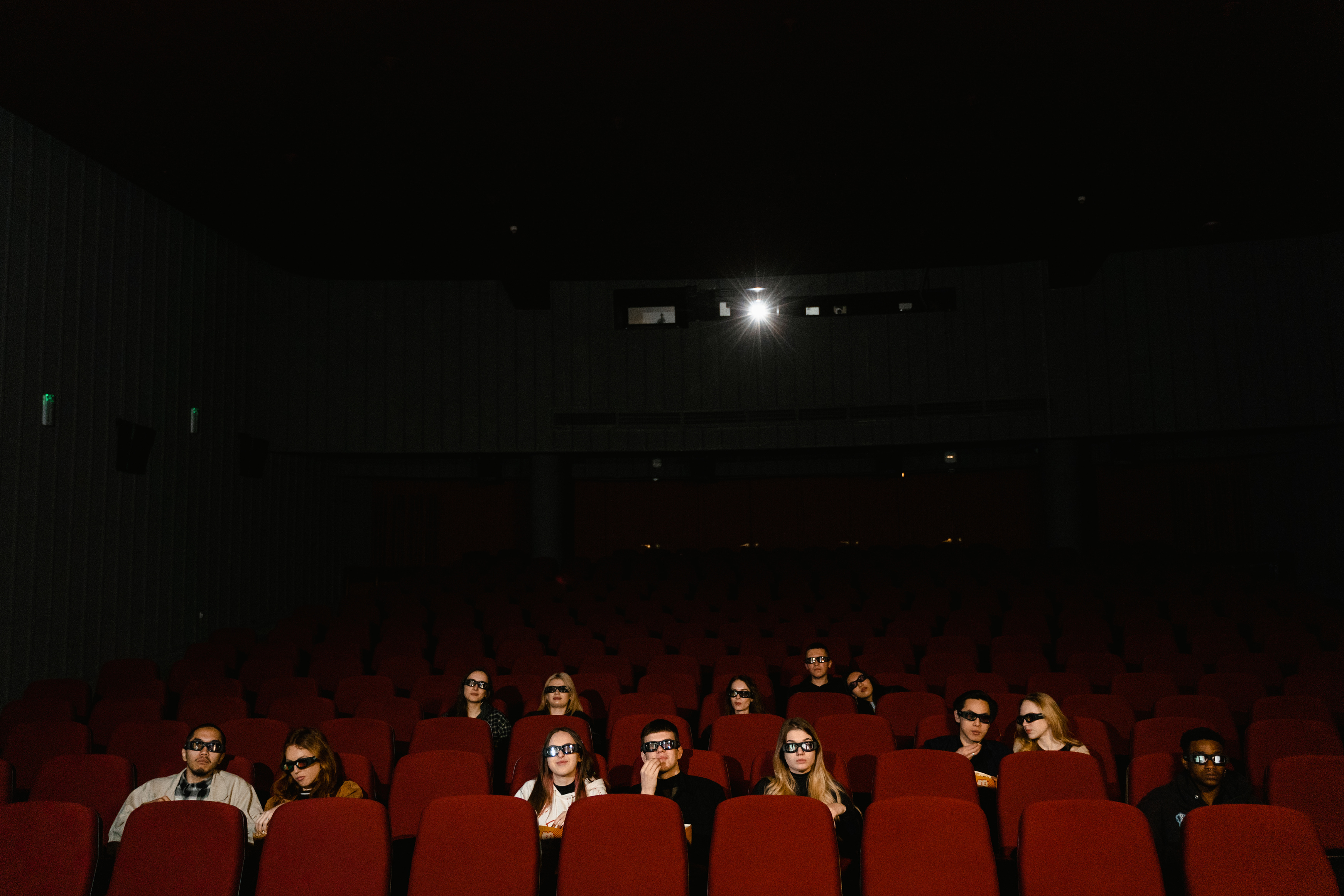 Audience in a Movie Theater